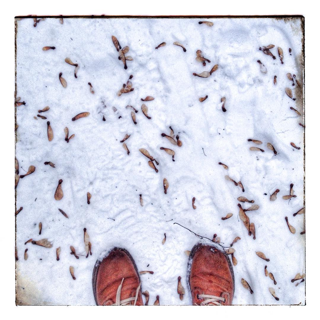 Cold feet #snow #winter #shoes #rieker